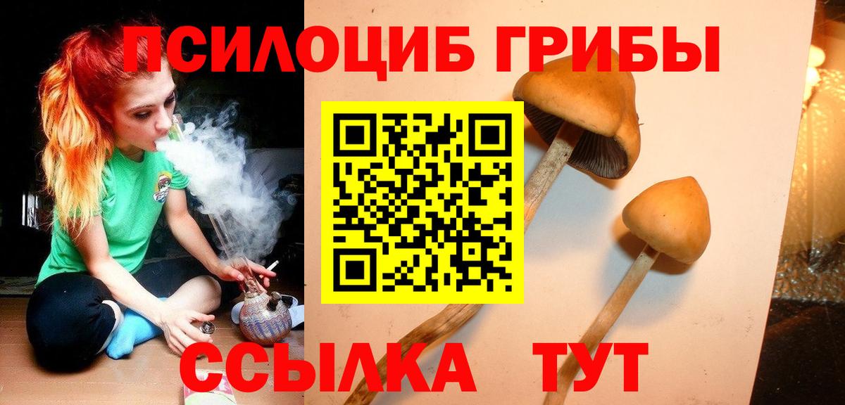 купить наркотики сайты  Вход с VPN  Киреевск  Галлюциногенные грибы MAGIC MUSHROOMS  Галлюциногенные грибы Psilocybine cubensis 